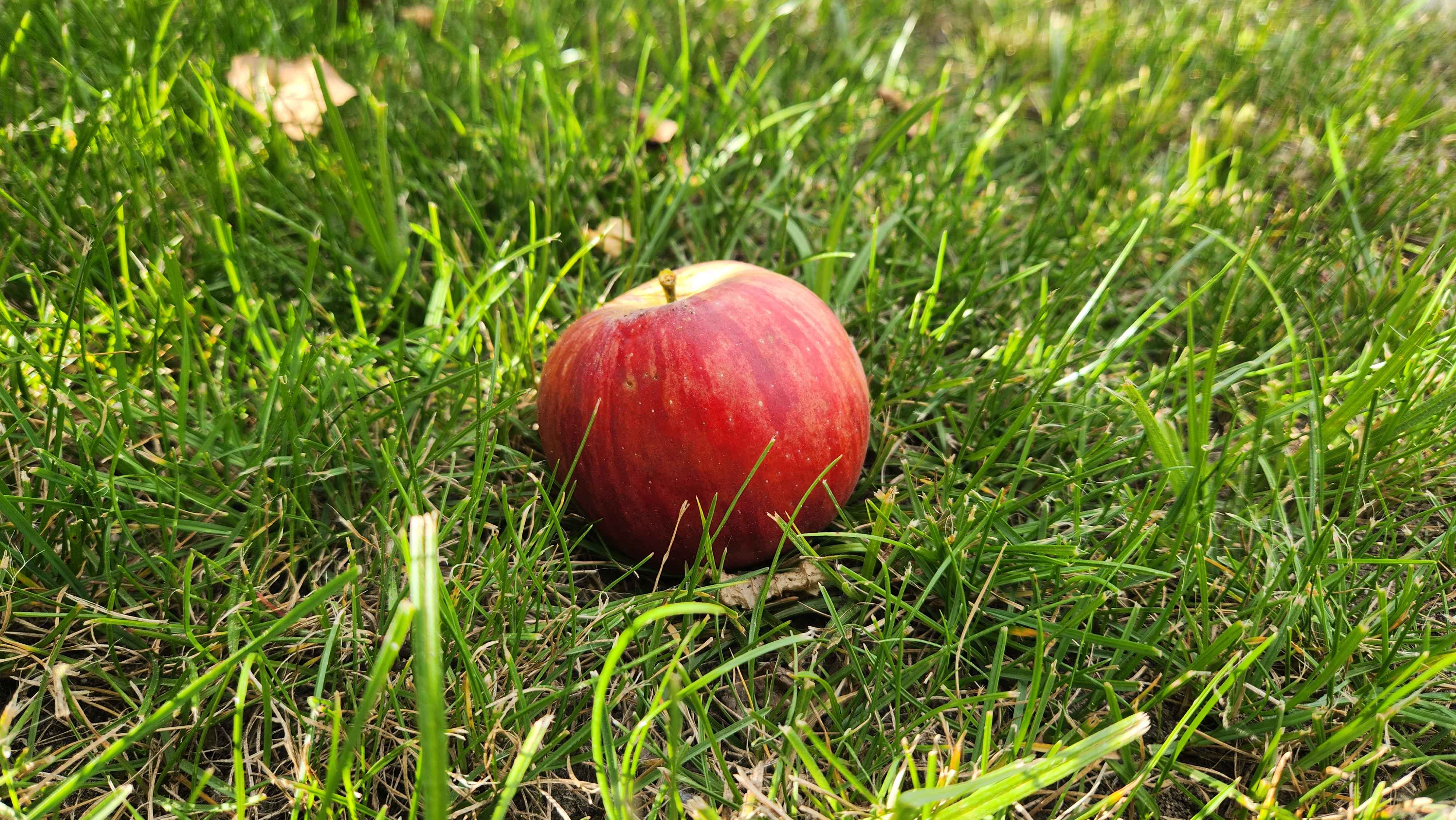 Autumn 10 (September 2025), Used in channel outros and stream screens.