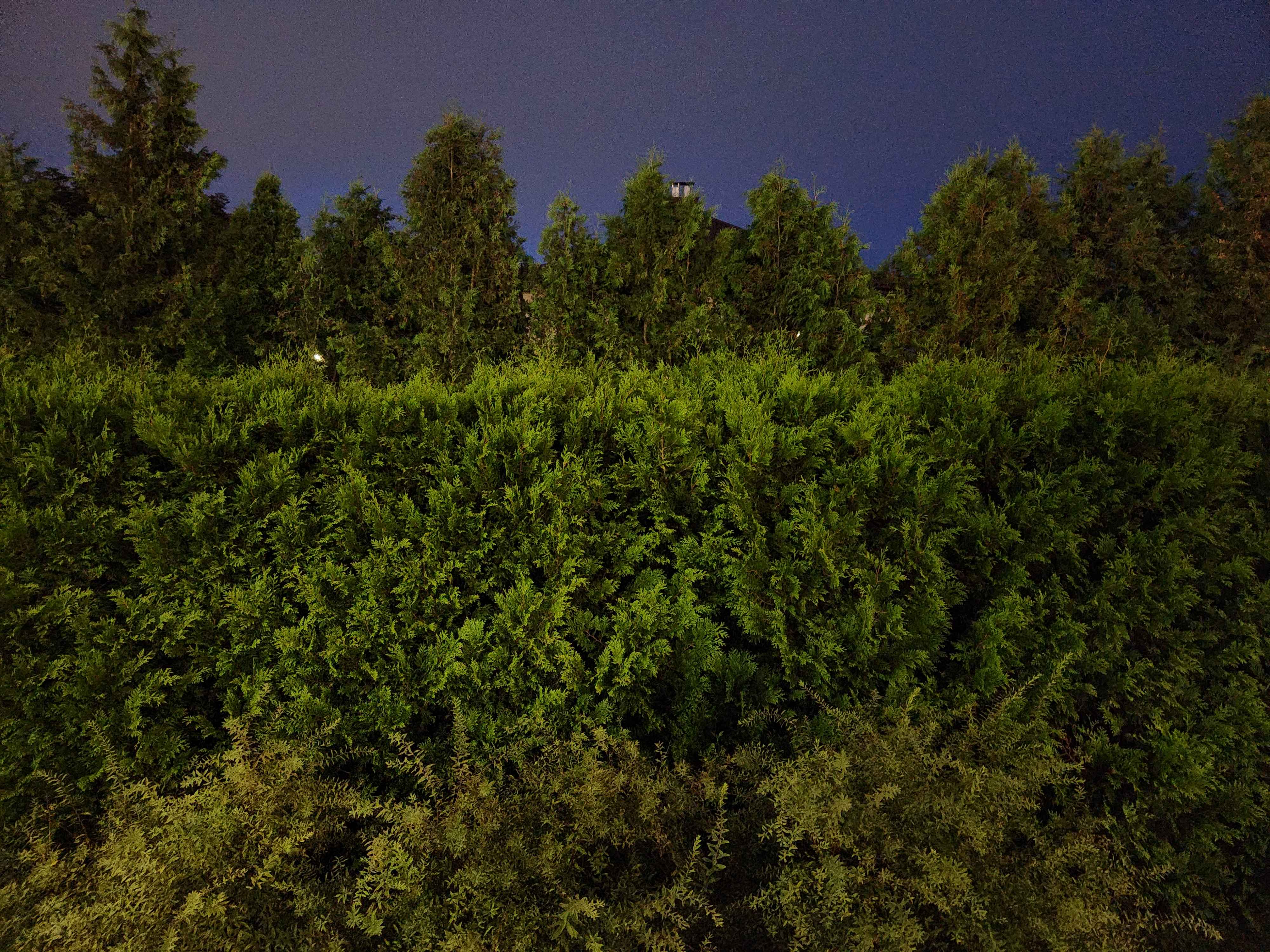 Autumn 11 (October 2025), Used in channel outros and stream screens.