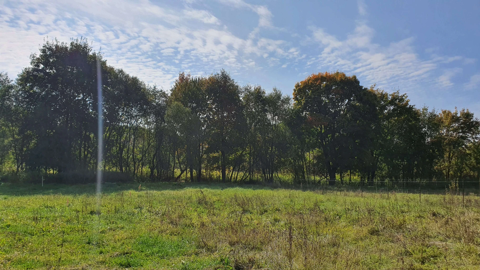 Autumn 2 (October 2022), Used in channel outros and stream screens.