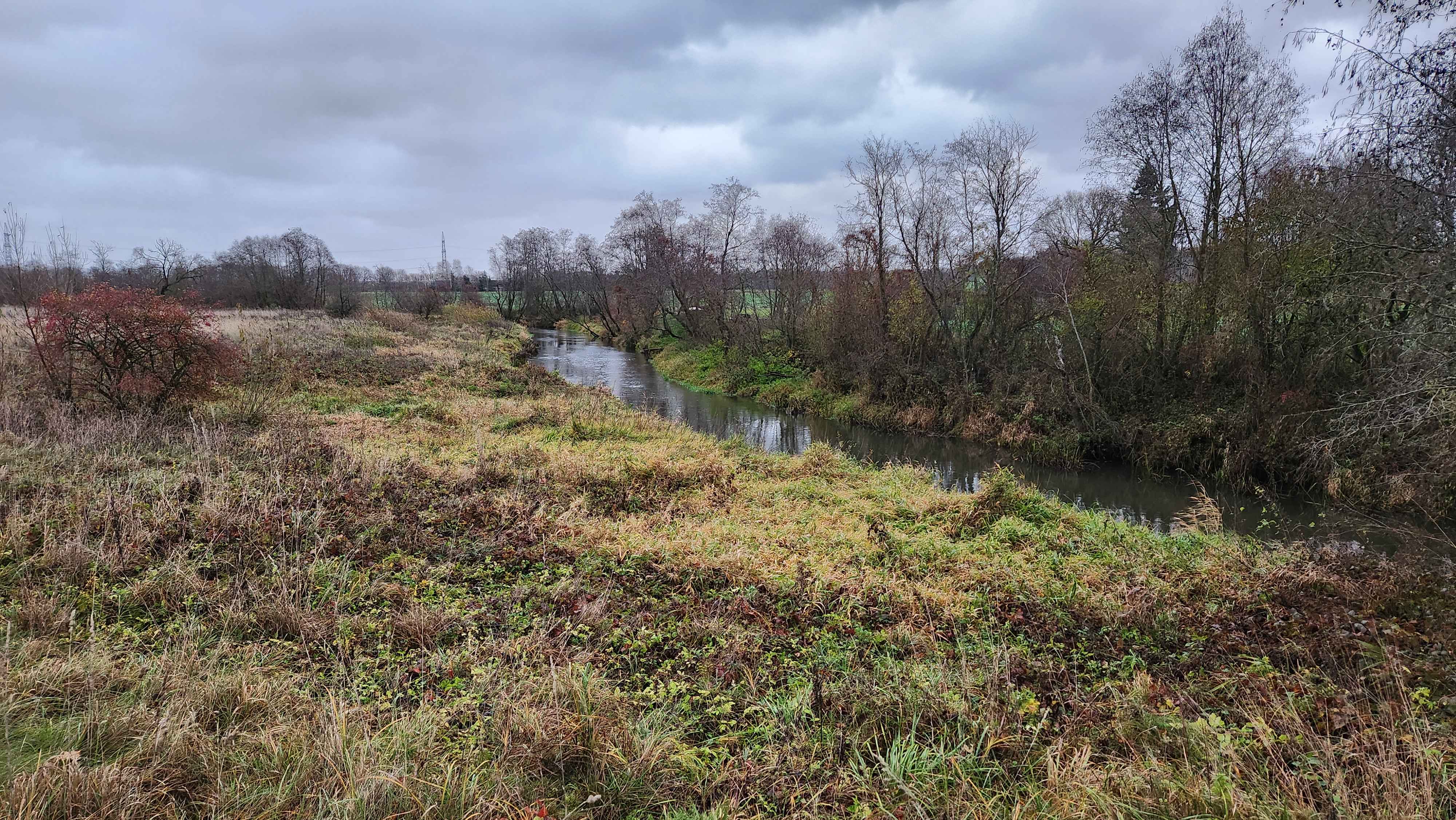 Autumn 9 (November 2024), Used in channel outros and stream screens.