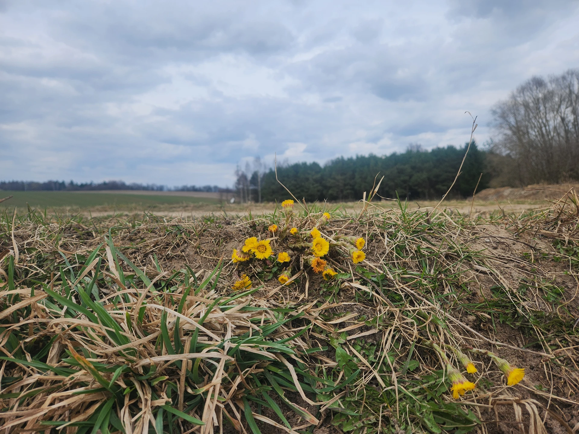 Spring 10 (April 2025), Used in channel outros and stream screens.