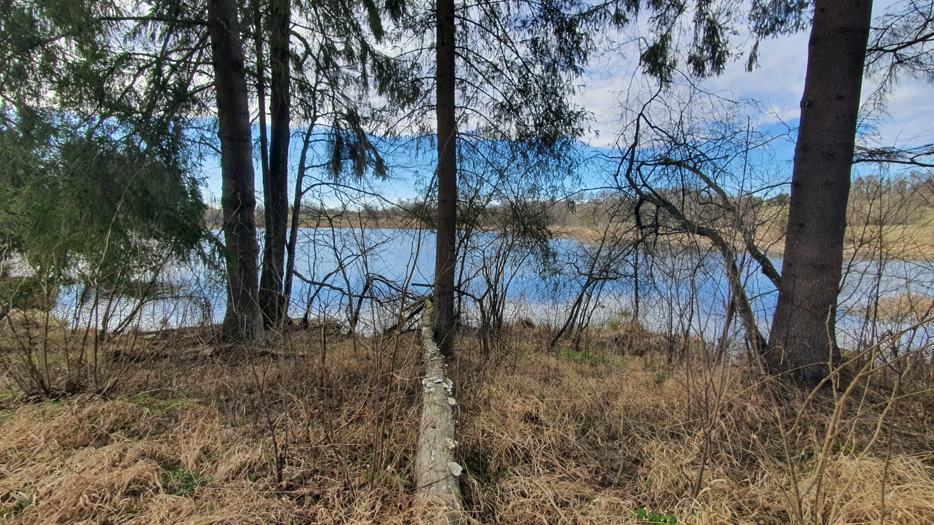 Spring 2 (April/May 2022), Used in channel outros.