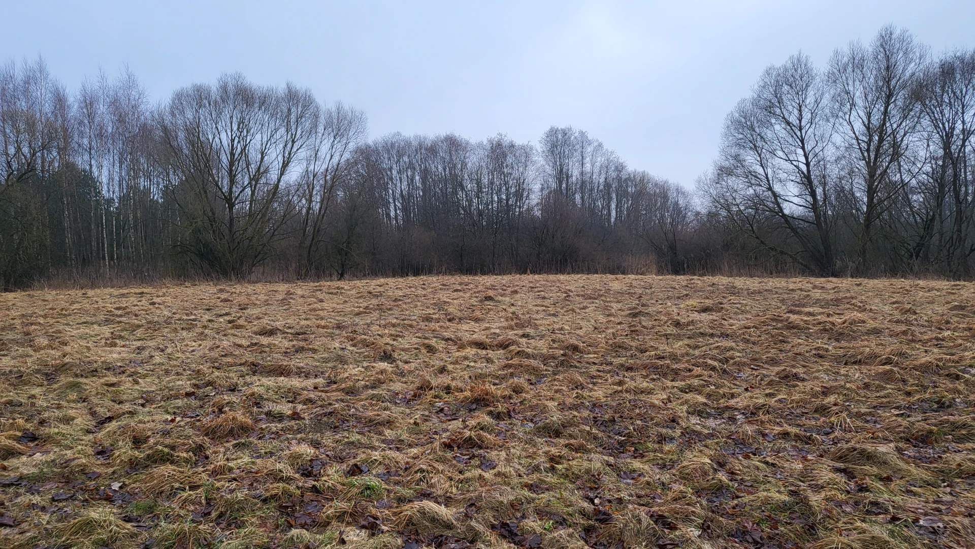 Spring 3 (March 2023), Used in channel outros and stream screens.