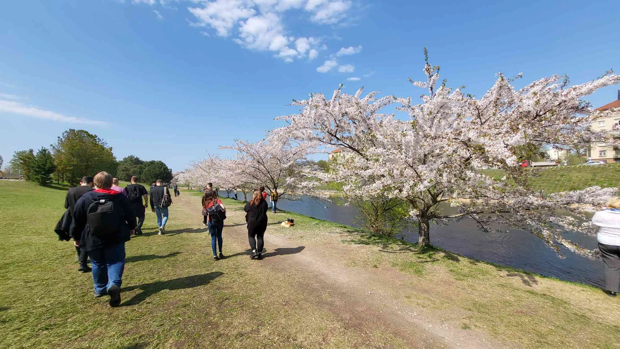 Spring 5 (May 2023), Used in channel outros and stream screens.