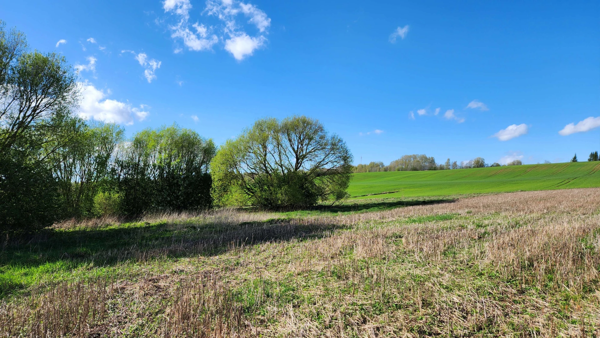 Spring 8 (May 2024), Used in channel outros and stream screens.