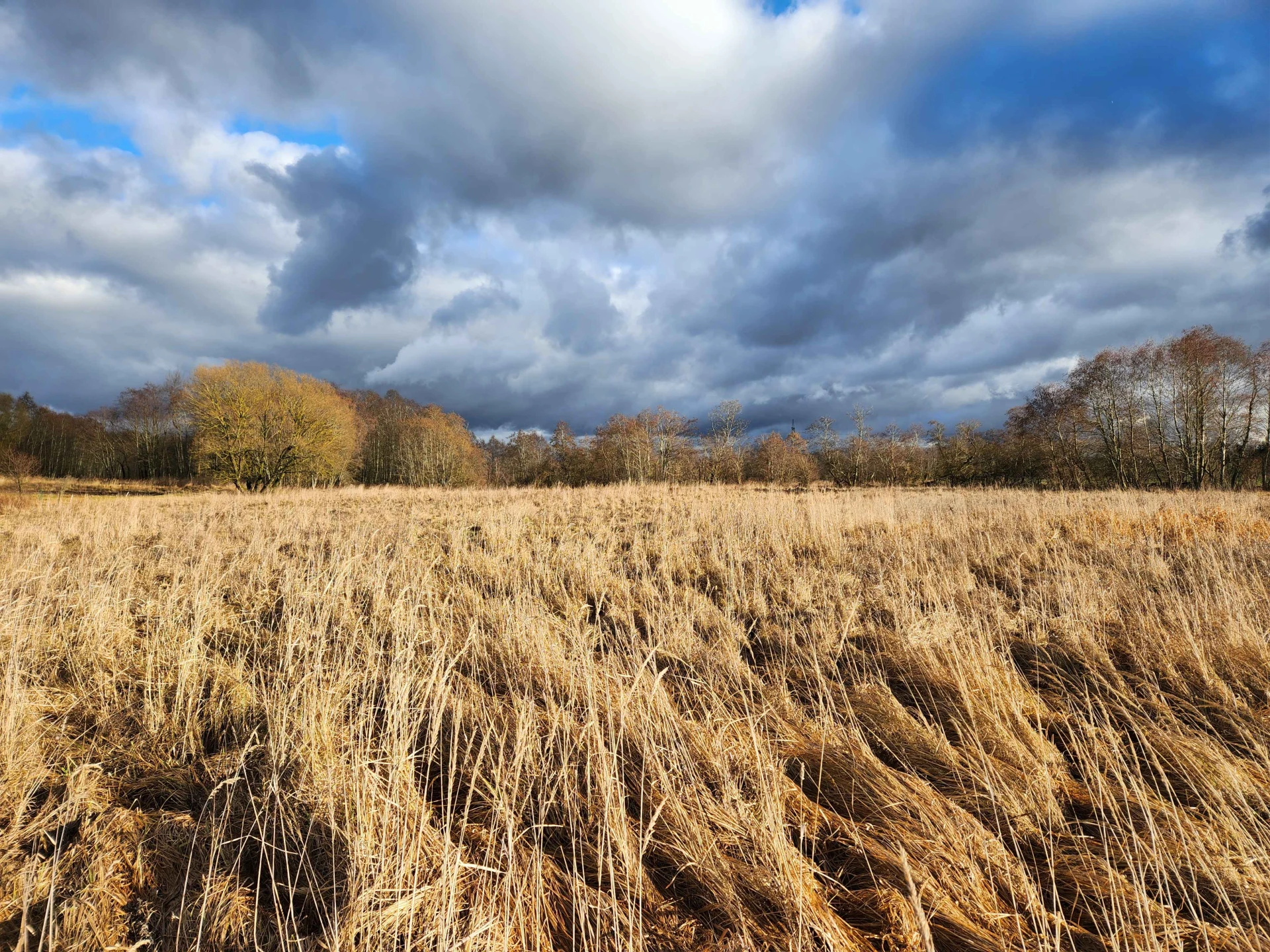 Spring 9 (March 2025), Used in channel outros and stream screens.