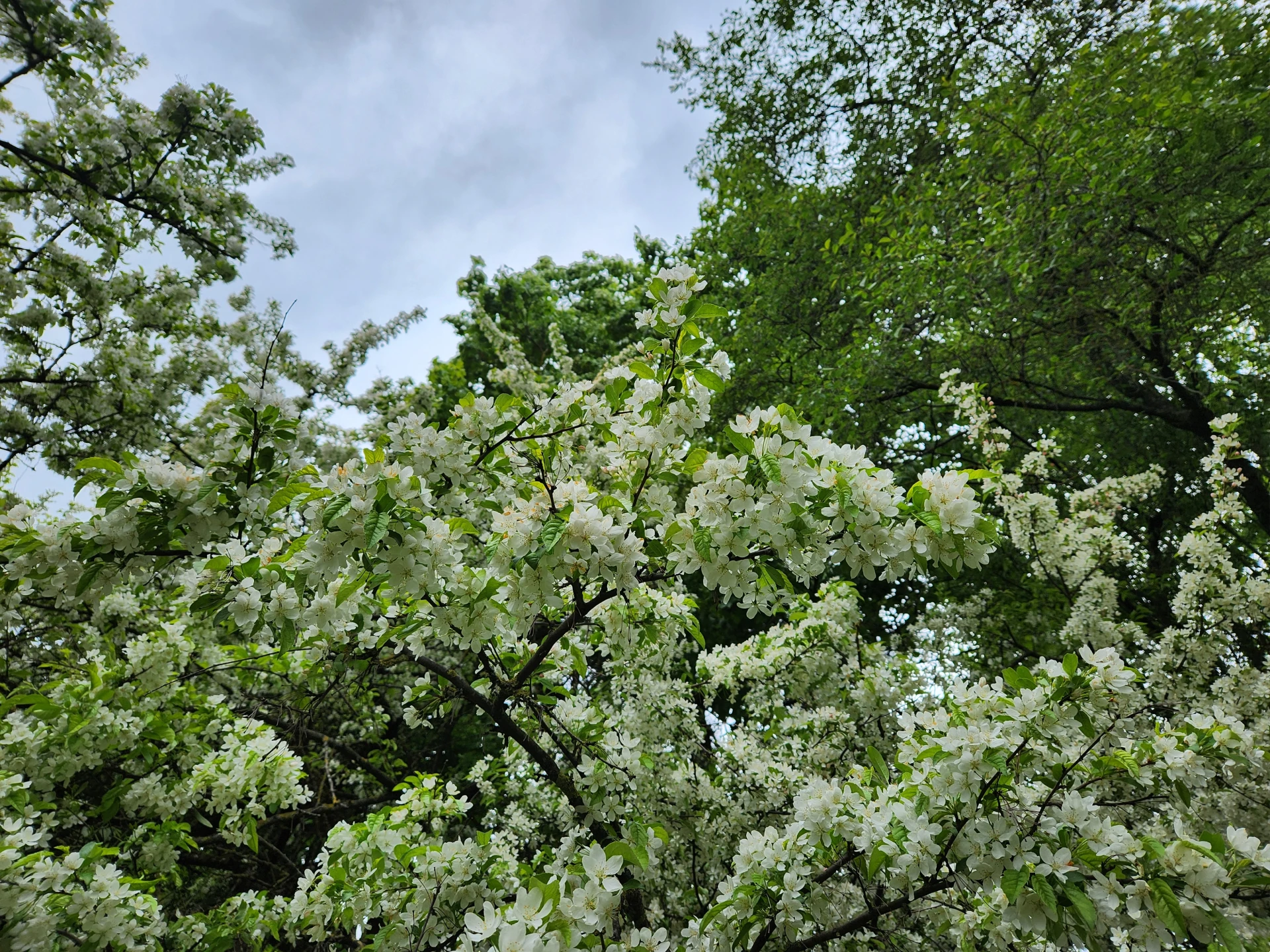 Summer 10 (June 2025), Used in channel outros and stream screens.