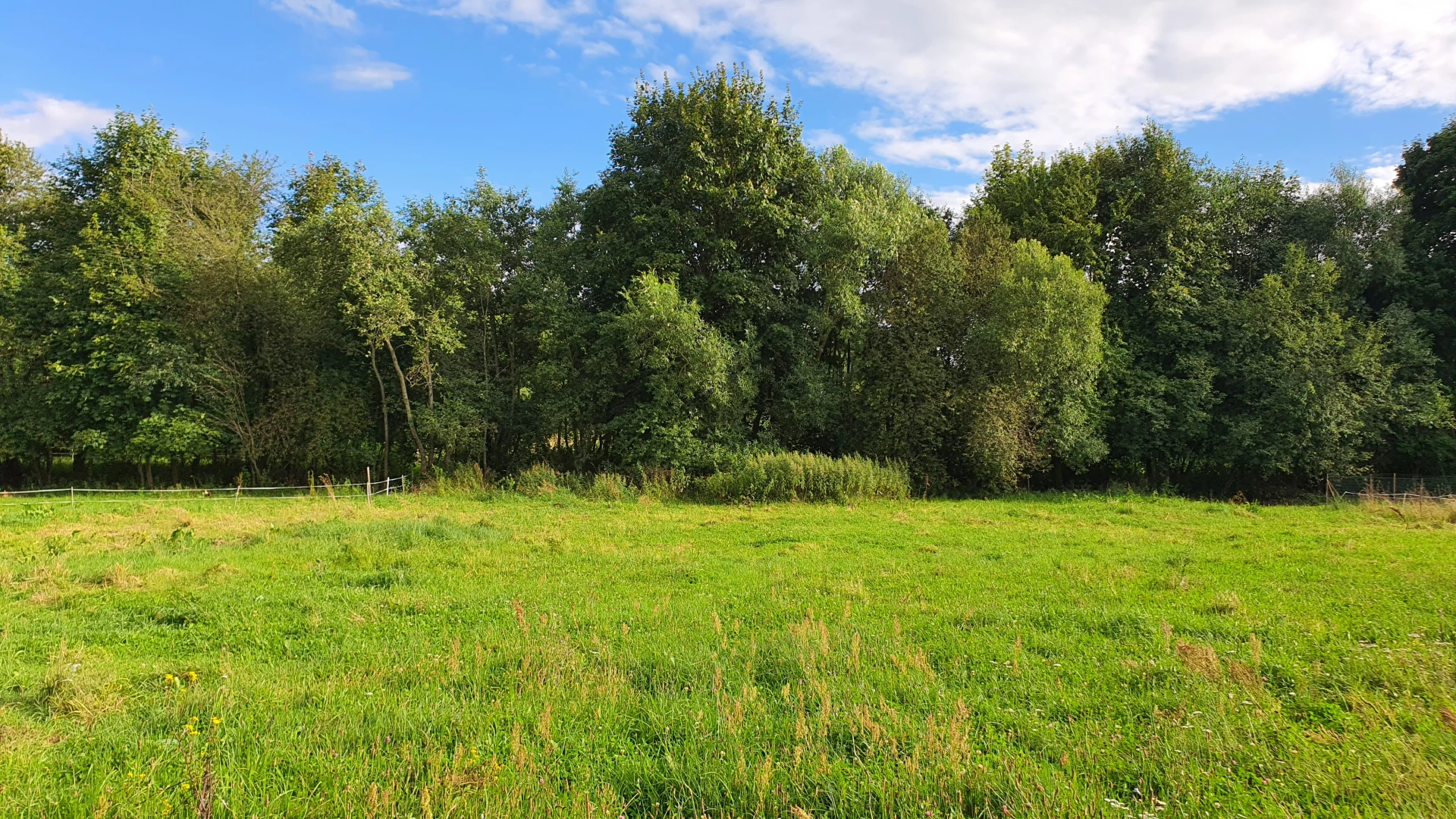 Summer 3 (August 2022), Used in channel outros and stream screens.