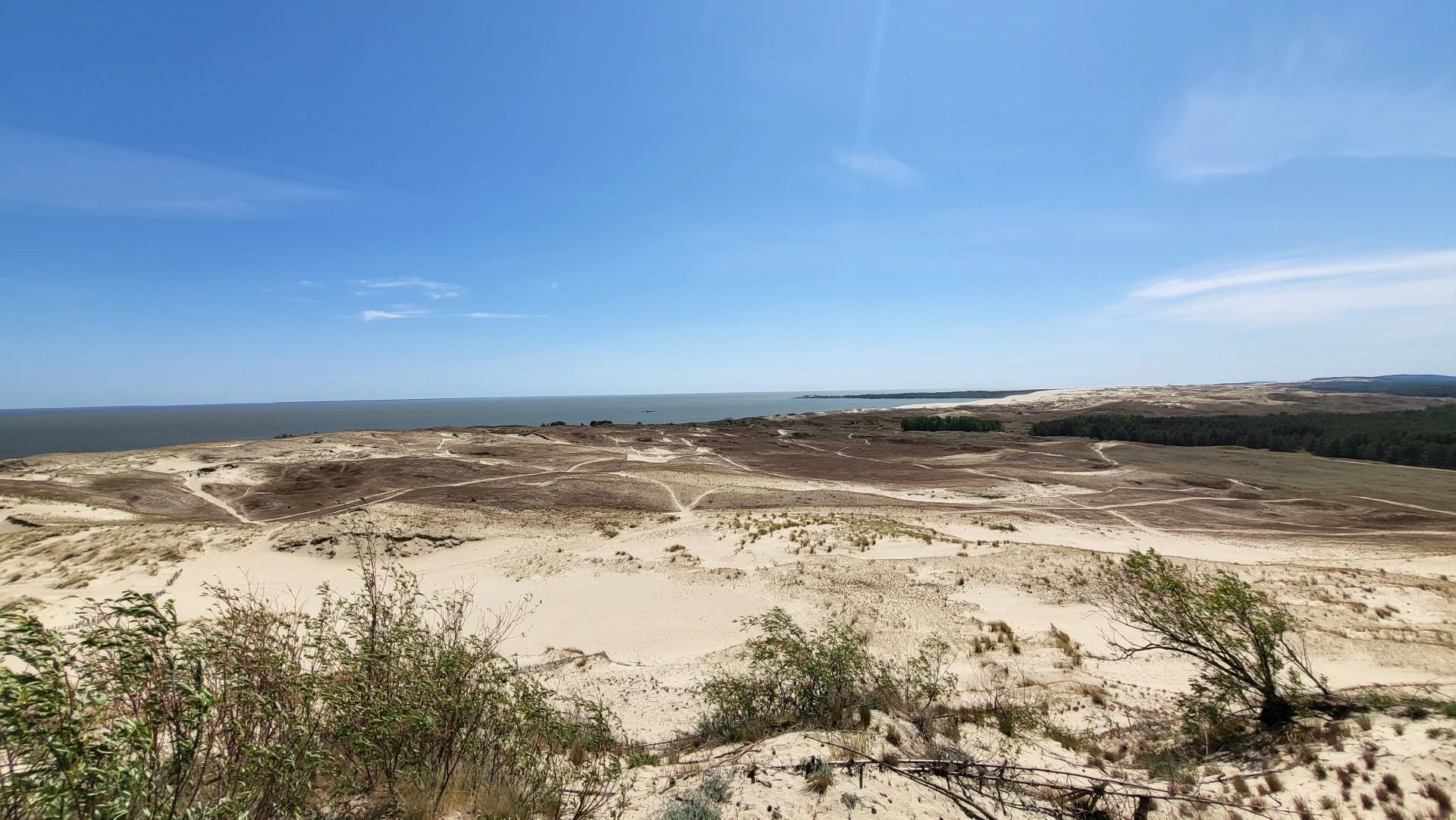 Summer 4 (June 2023), Used in channel outros and stream screens.