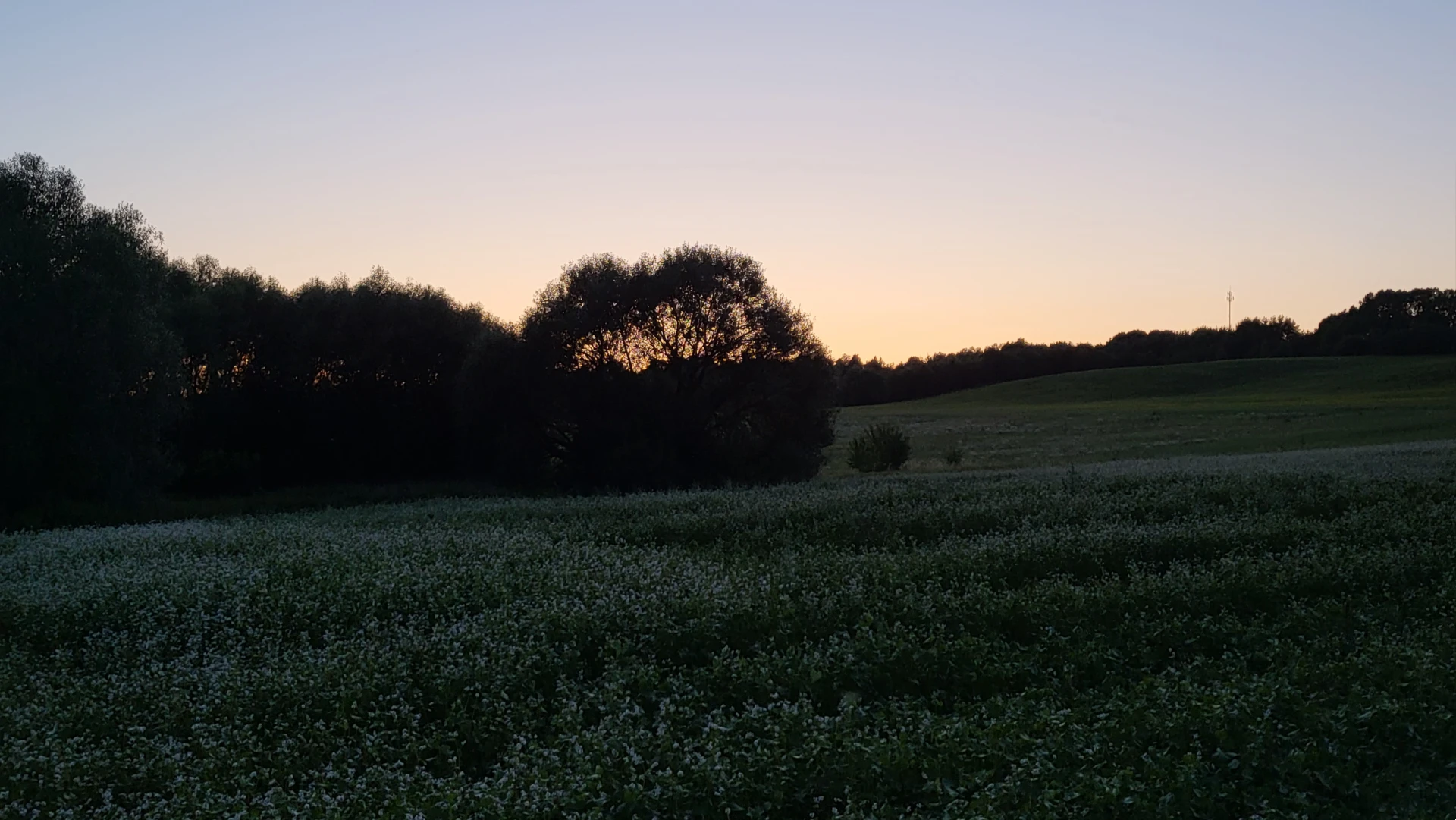 Summer 5 (July 2023), Used in channel outros and stream screens.