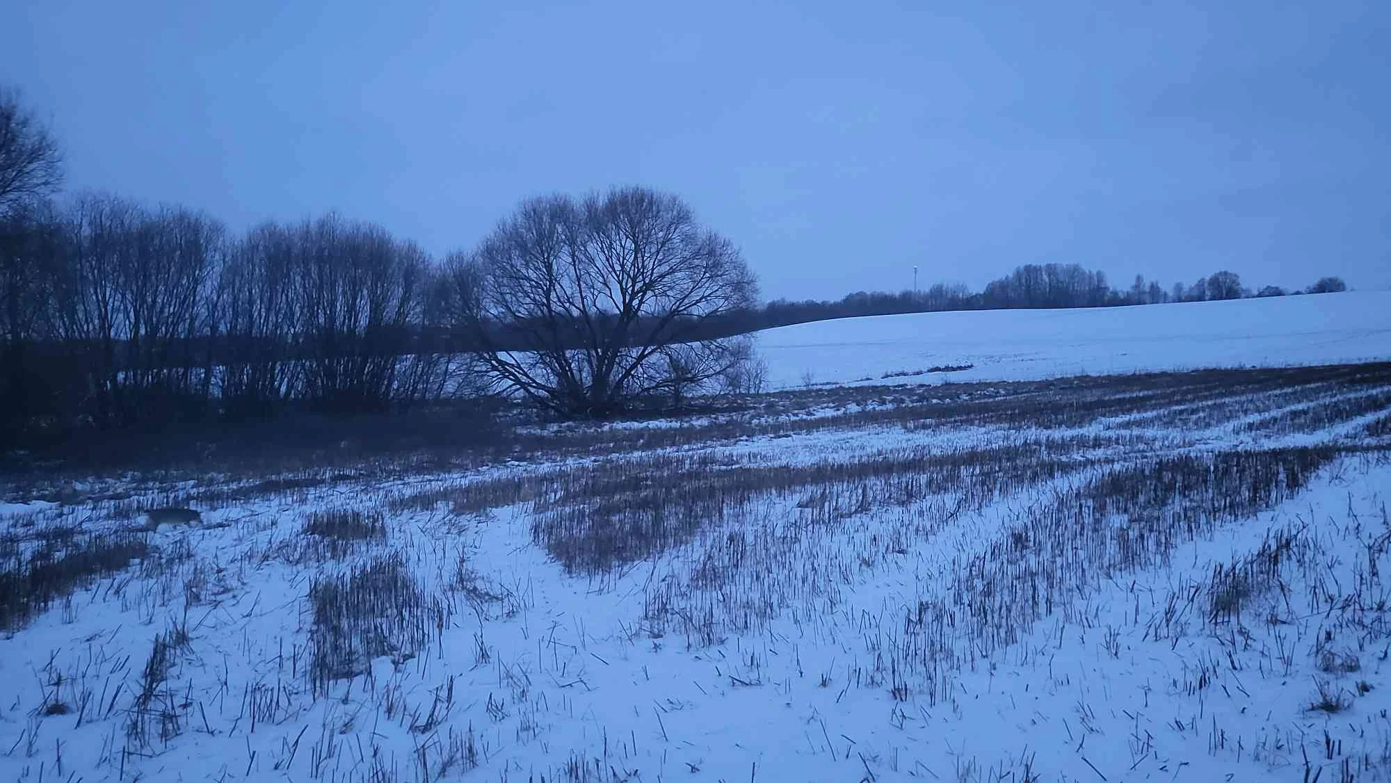 Winter 6 (January 2024), Used in channel outros and stream screens.