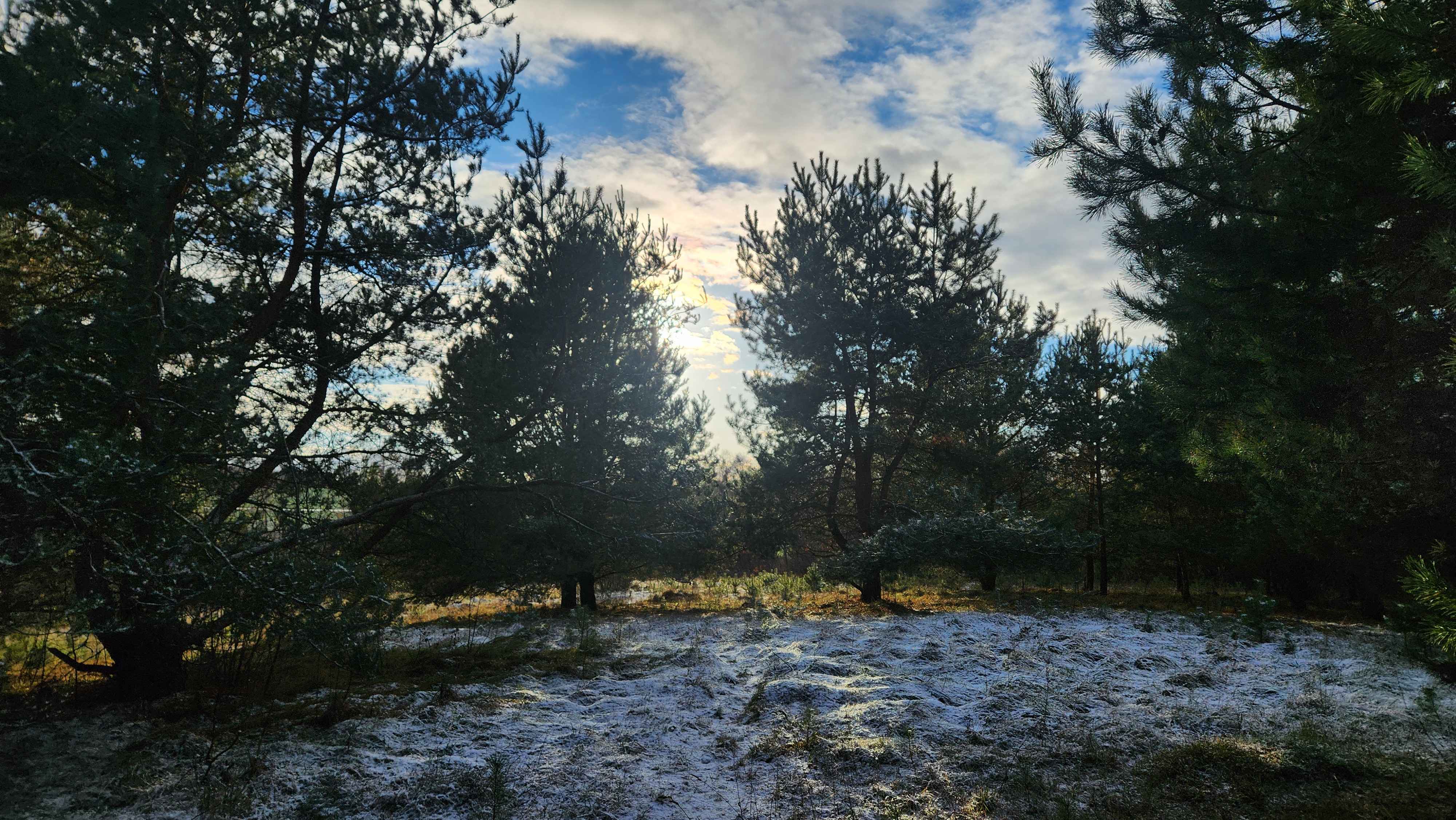 Winter 8 (December 2024), Used in channel outros and stream screens.