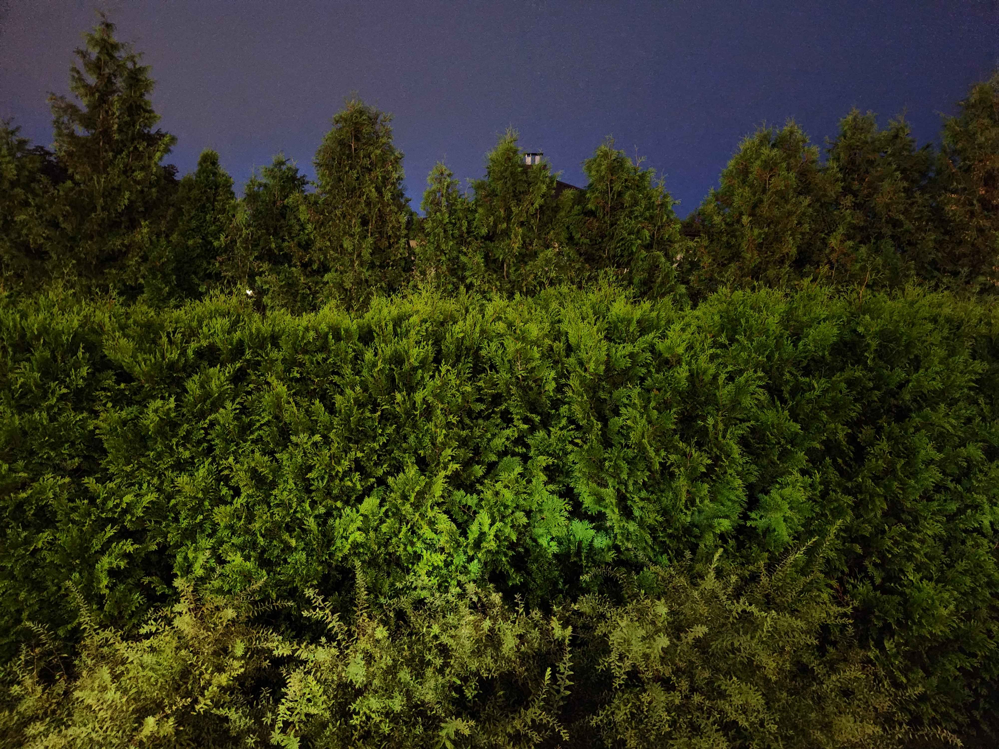 Candidate for Autumn 11.