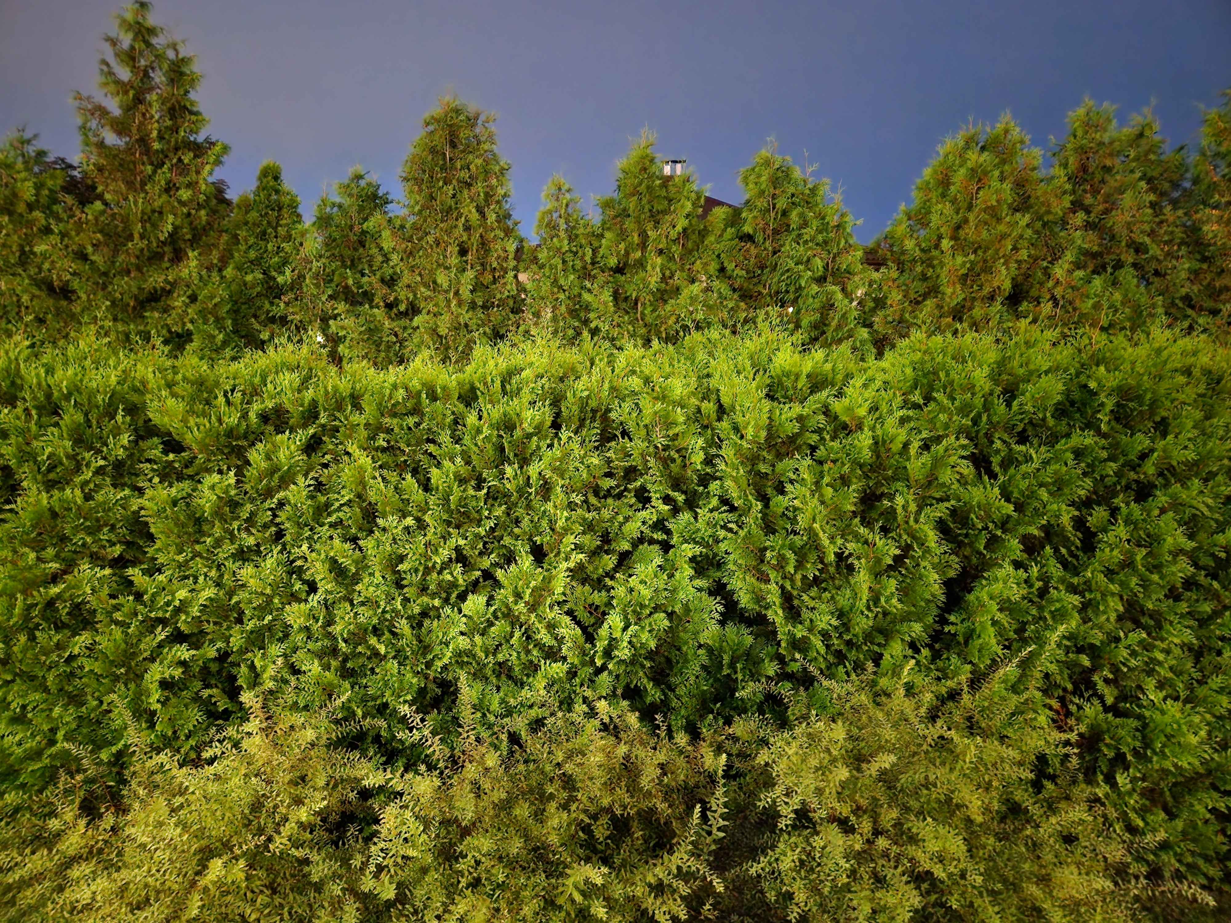 Candidate for Autumn 11.