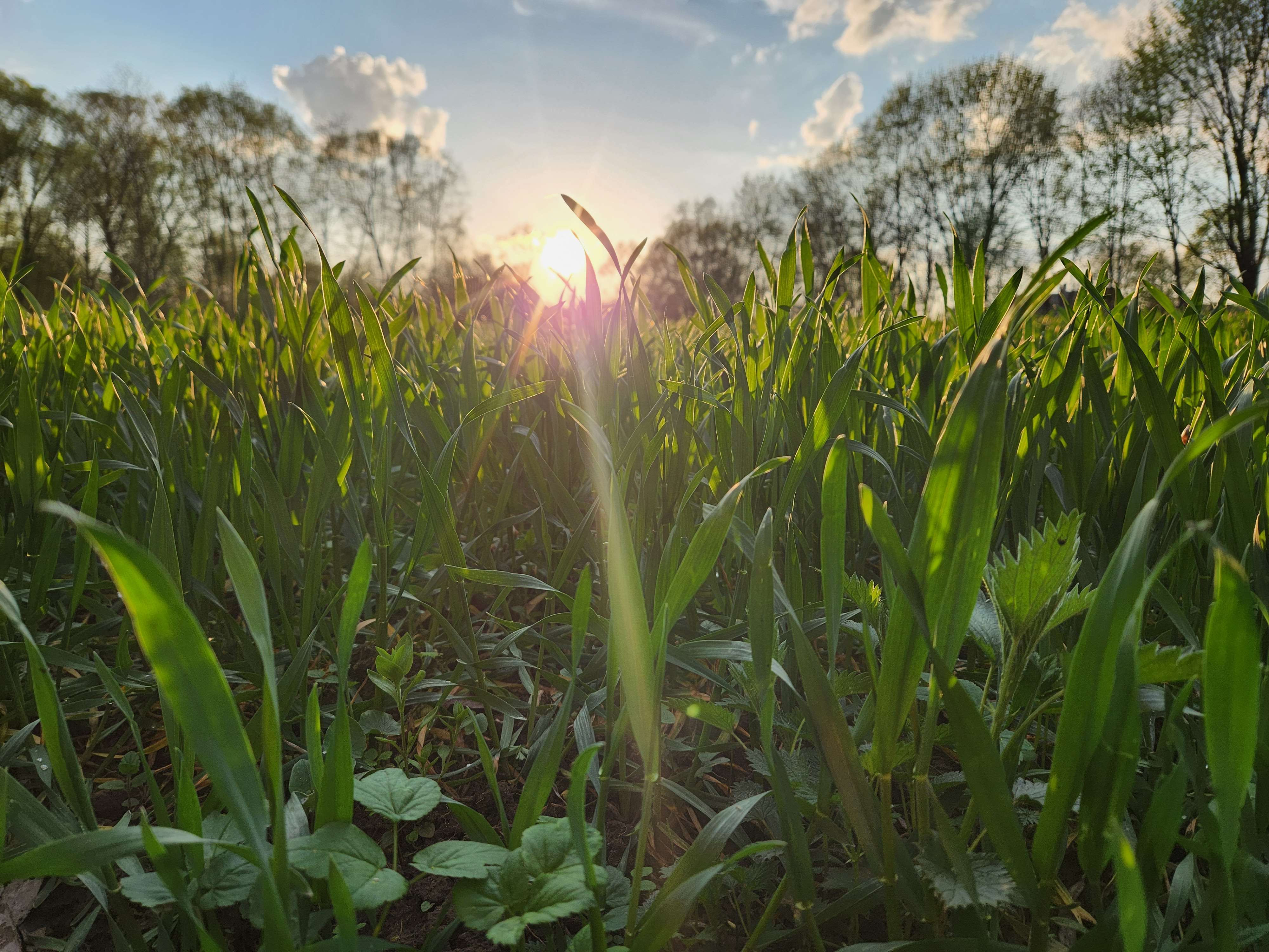 Candidate for Spring 11.