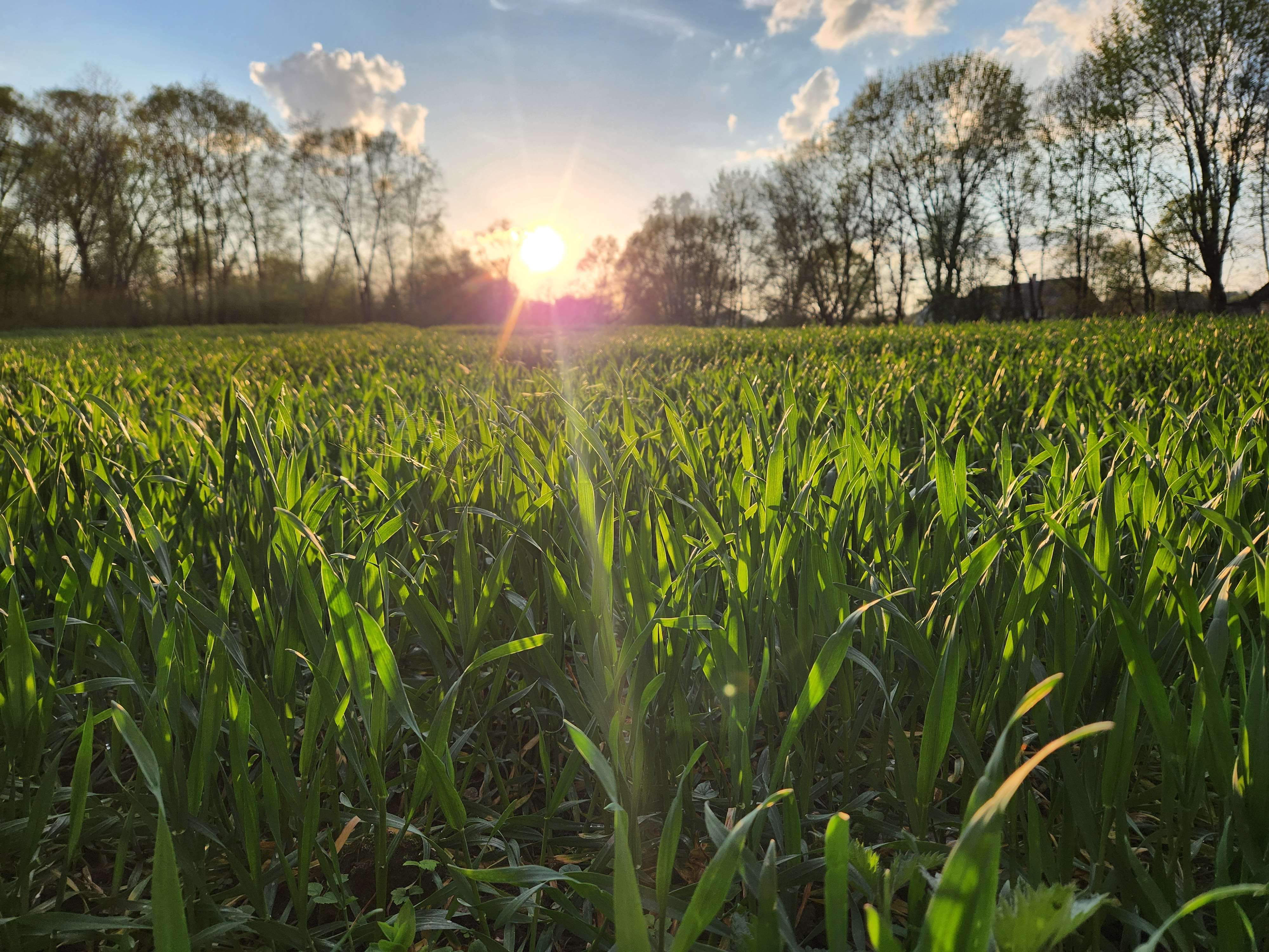 Candidate for Spring 11.