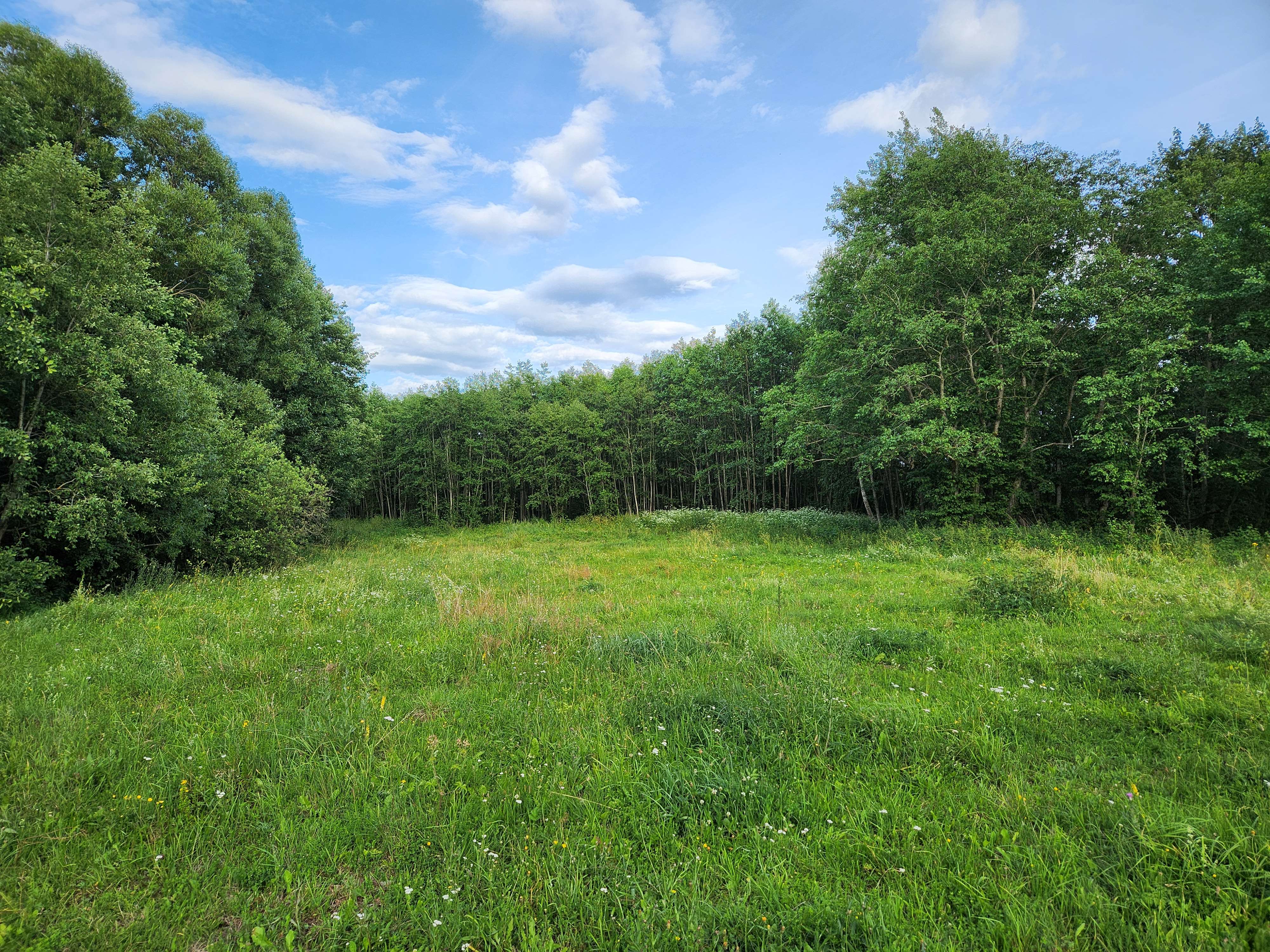 Candidate for Summer 12.