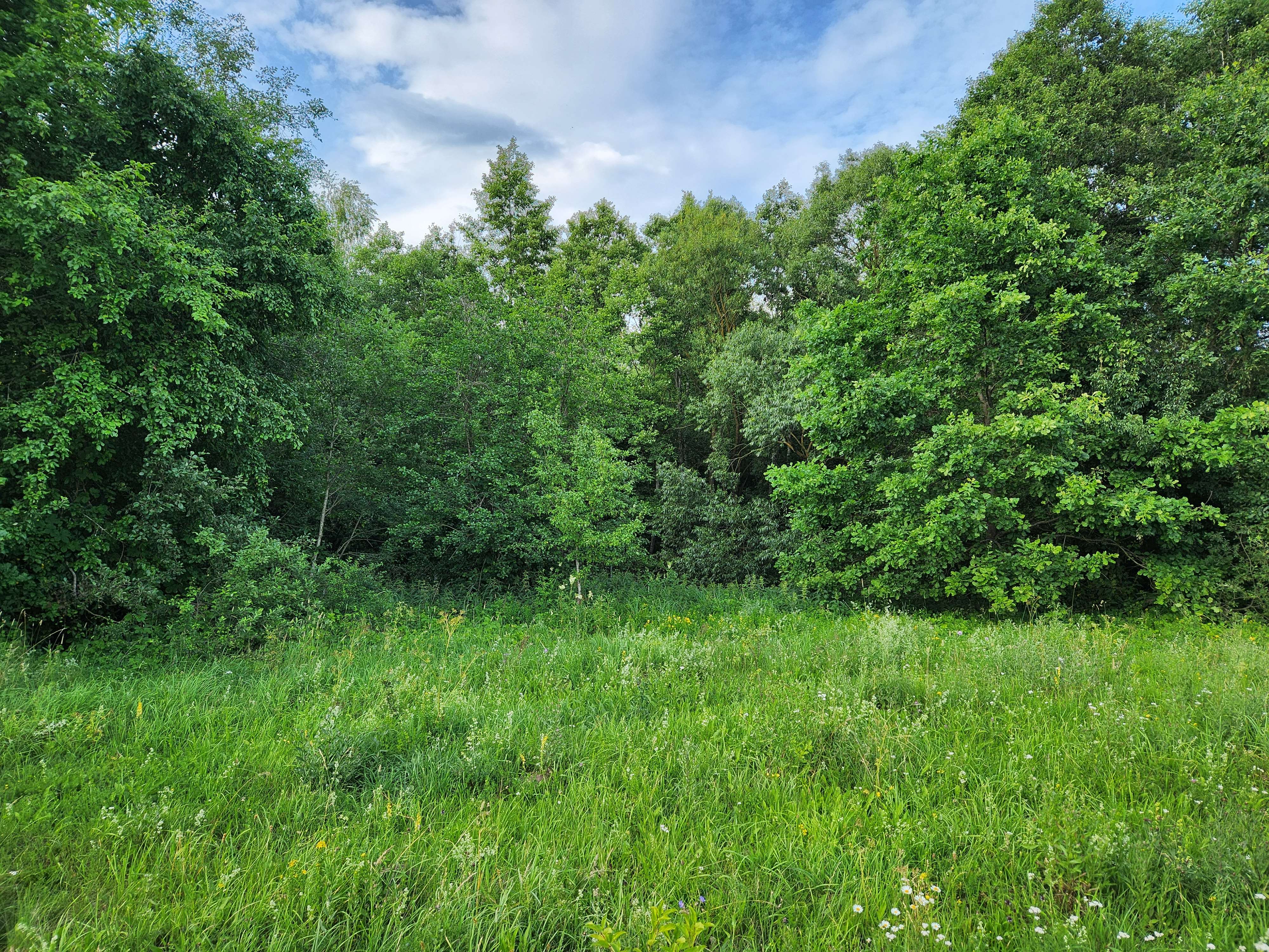 Candidate for Summer 12.