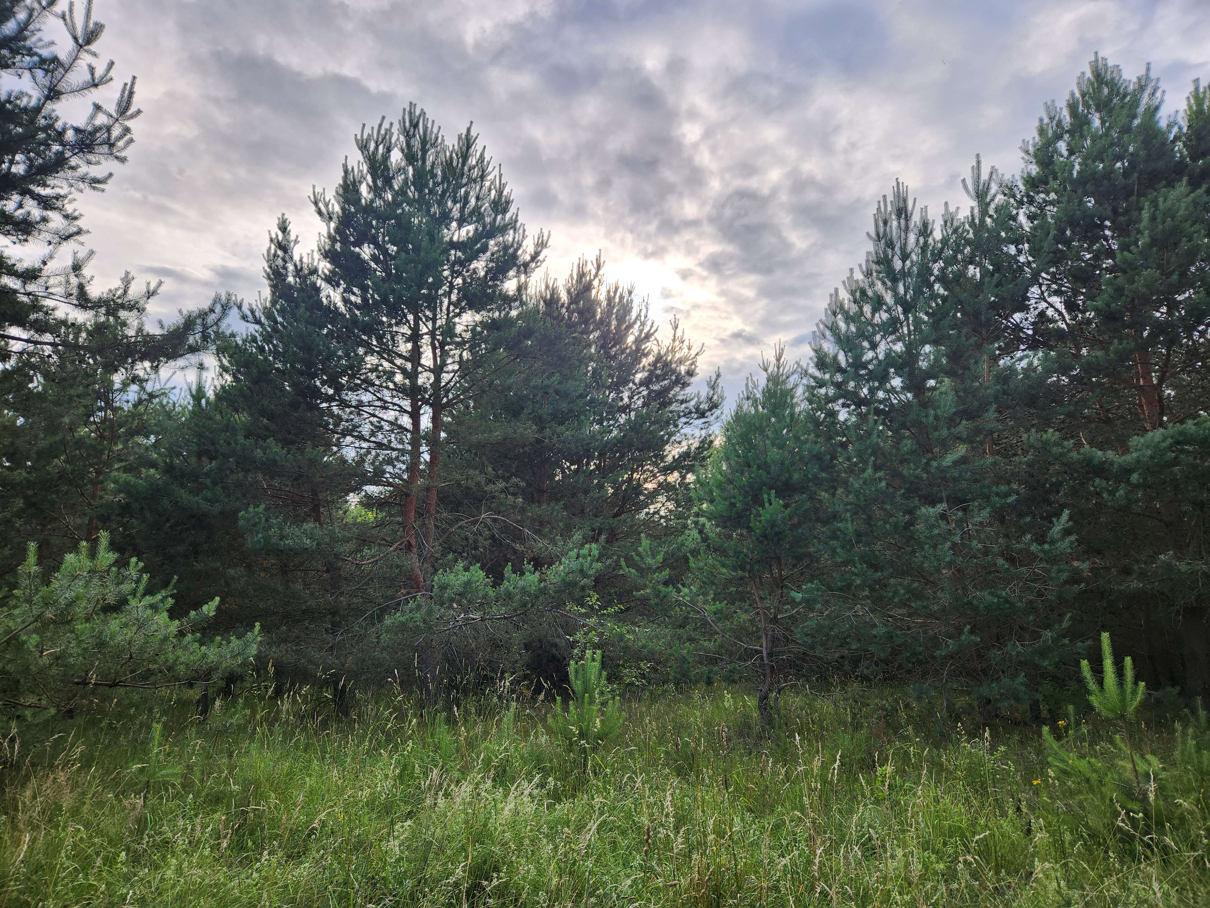 Candidate for Summer 12.