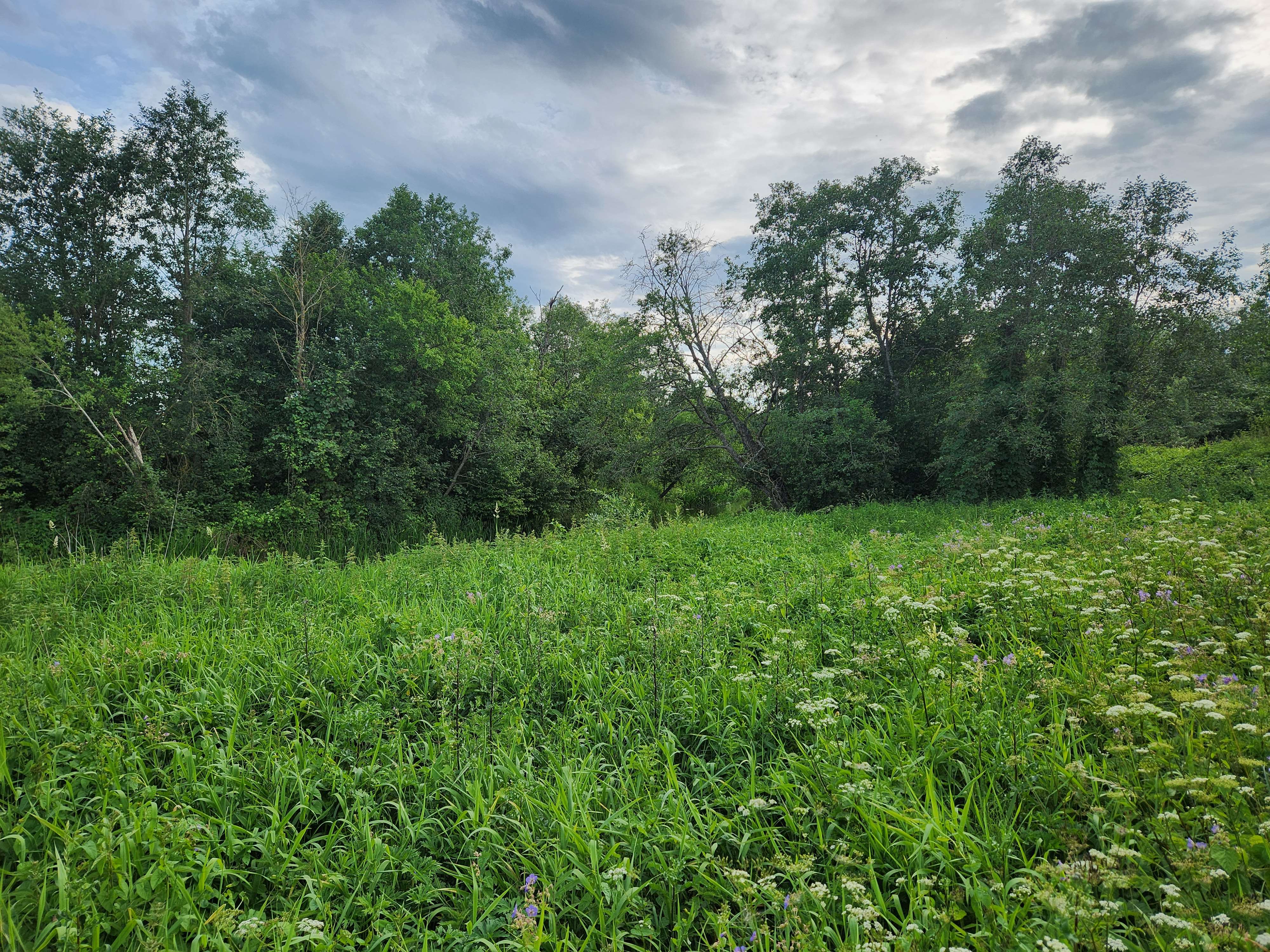 Candidate for Summer 12.