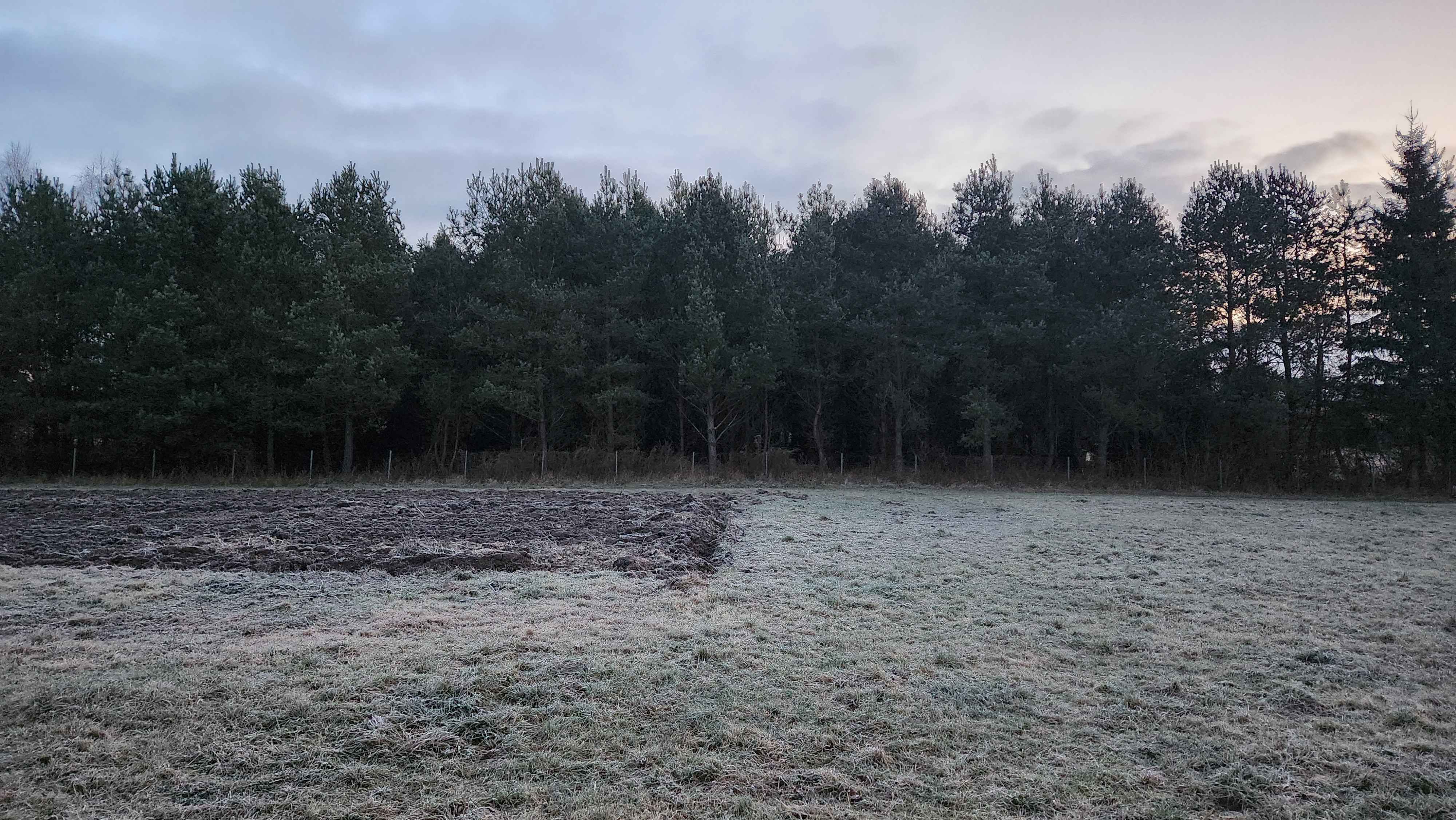 Candidate for Winter 8.