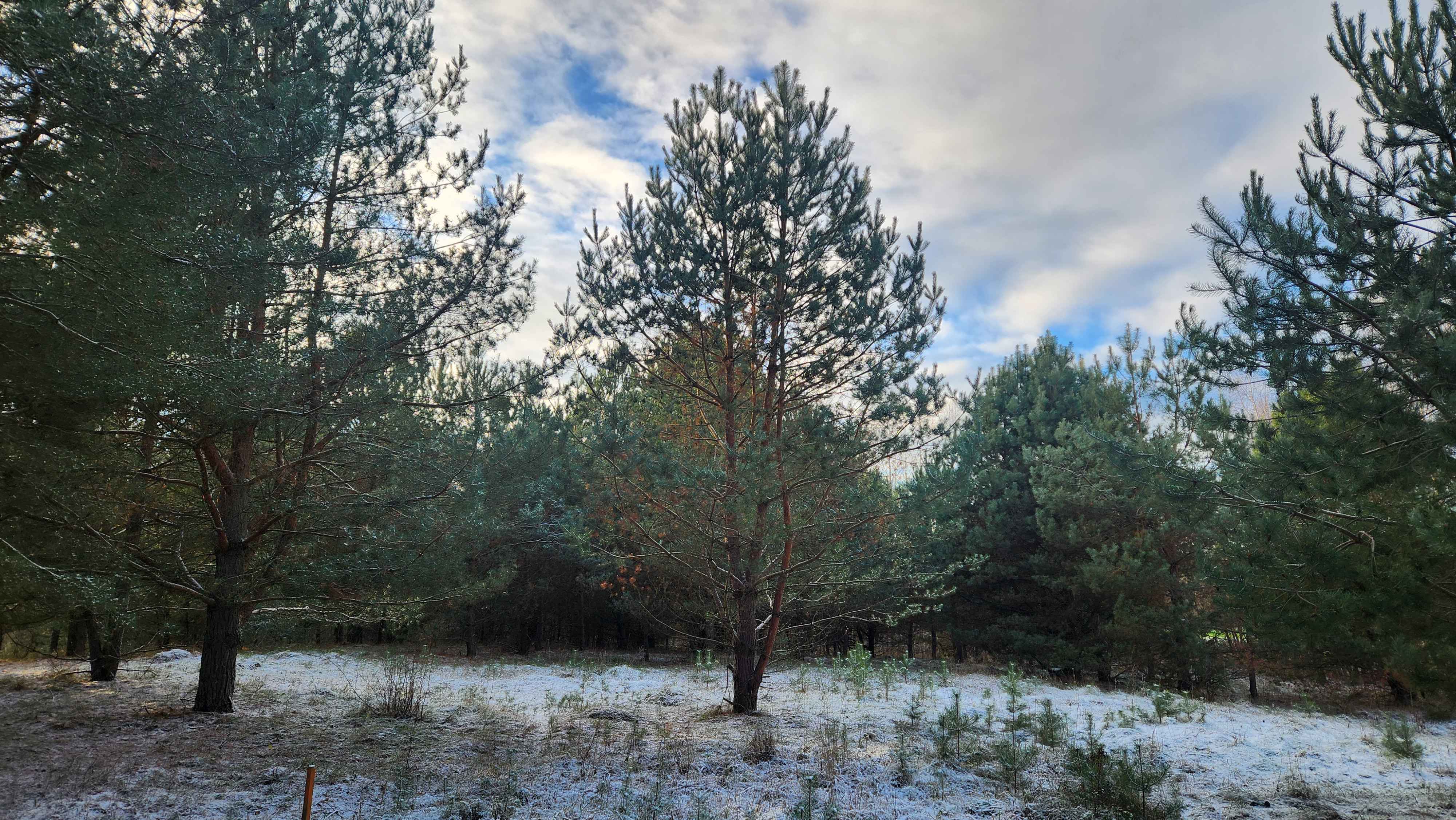 Candidate for Winter 8.