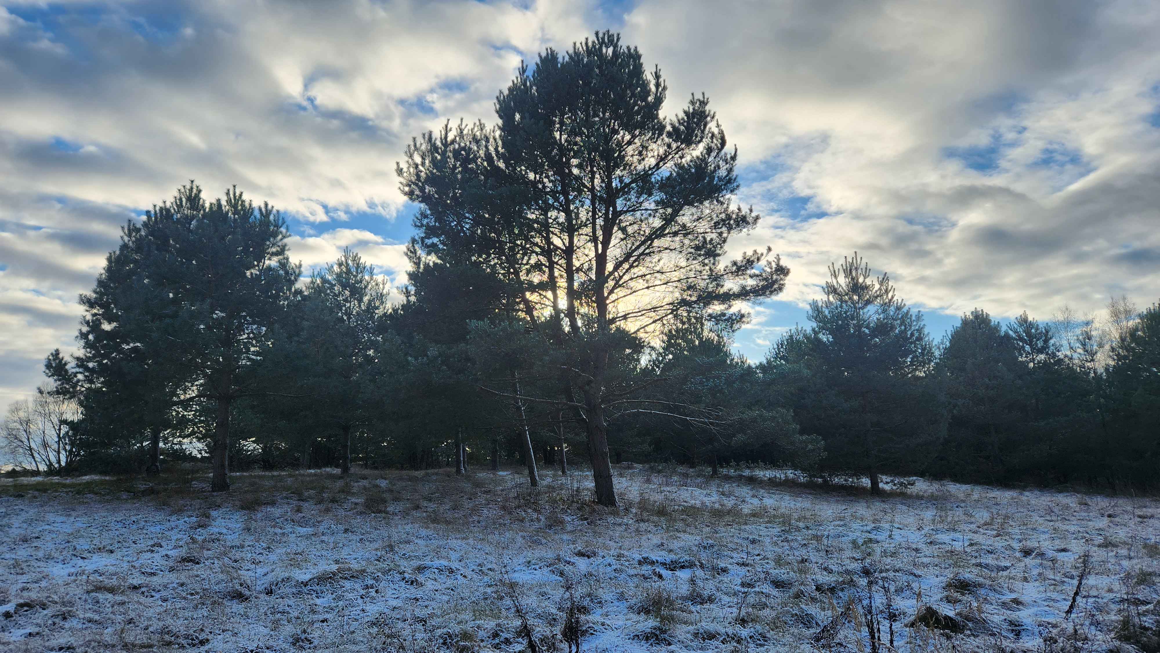 Candidate for Winter 8.