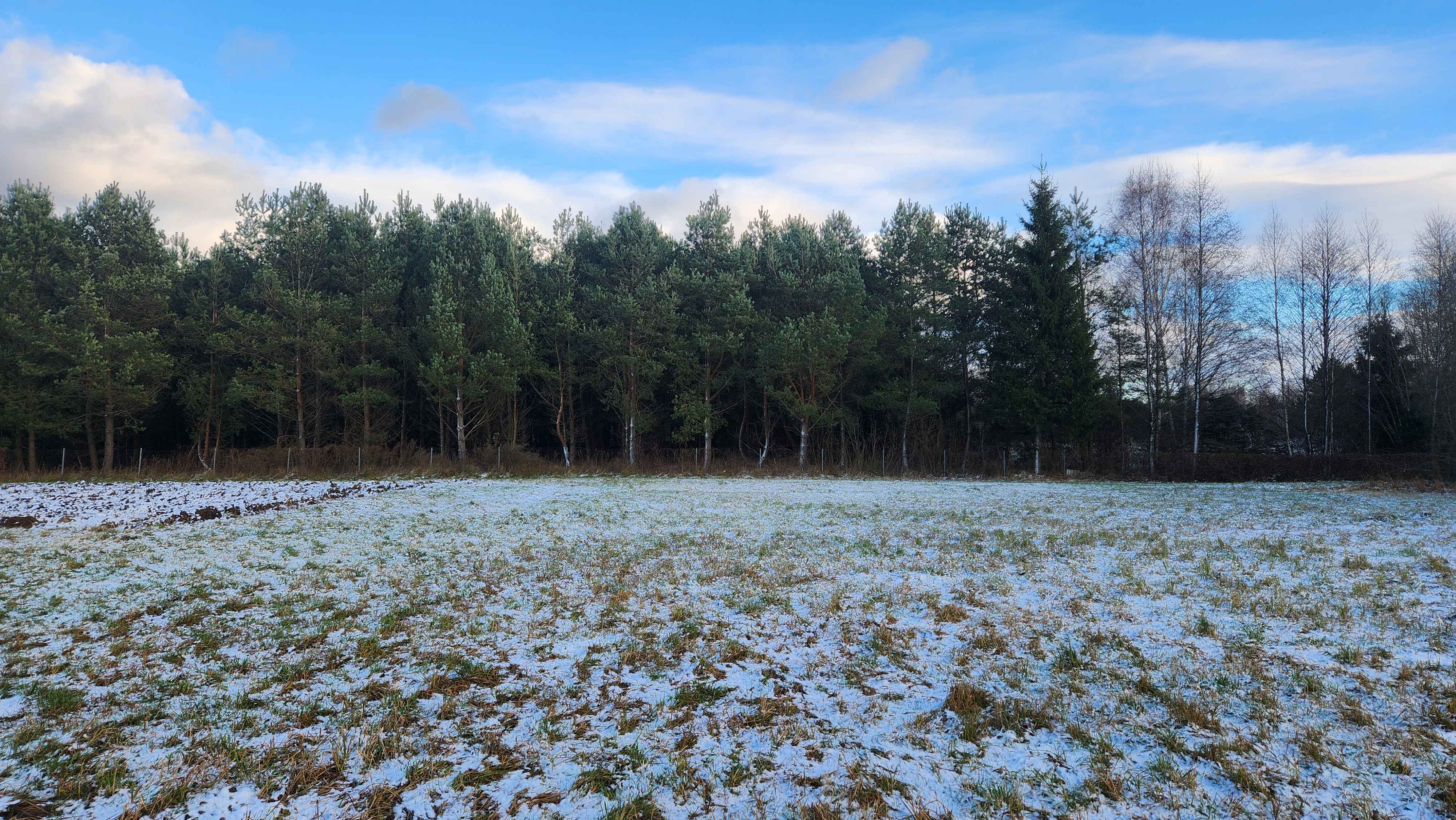 Candidate for Winter 8.